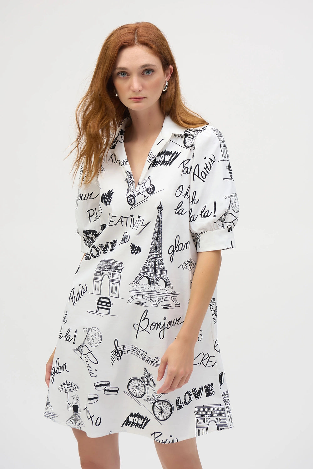 Joseph Ribkoff Poplin Conversational Print A-Line Dress 252019