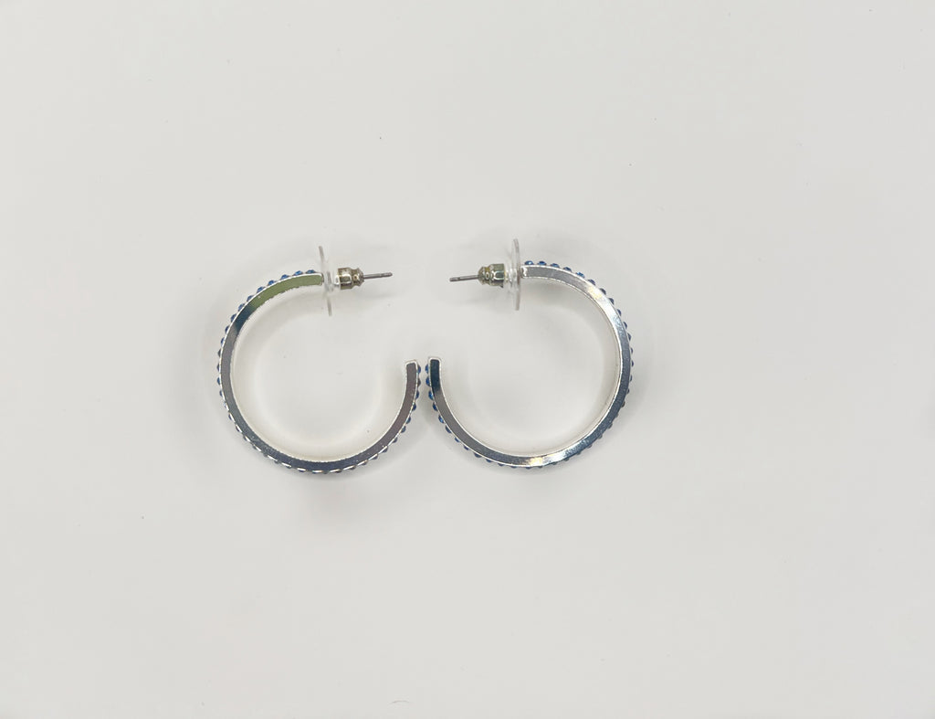 Blue Scarab Earrings BS190