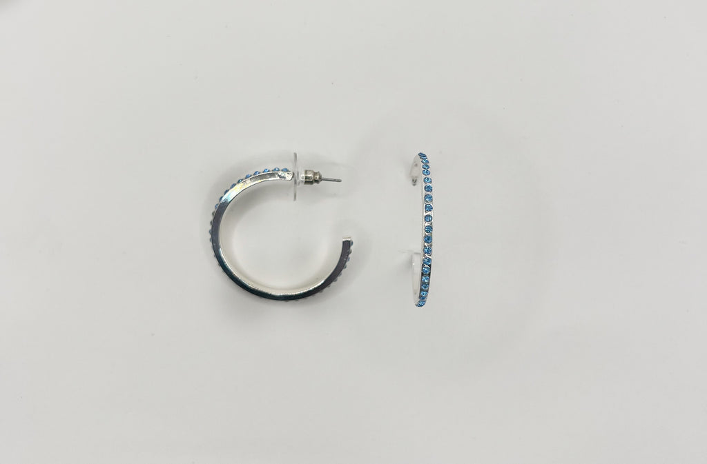 Blue Scarab Earrings BS190