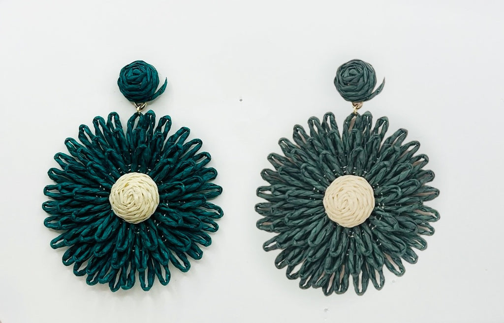 Enhance Earrings EH192