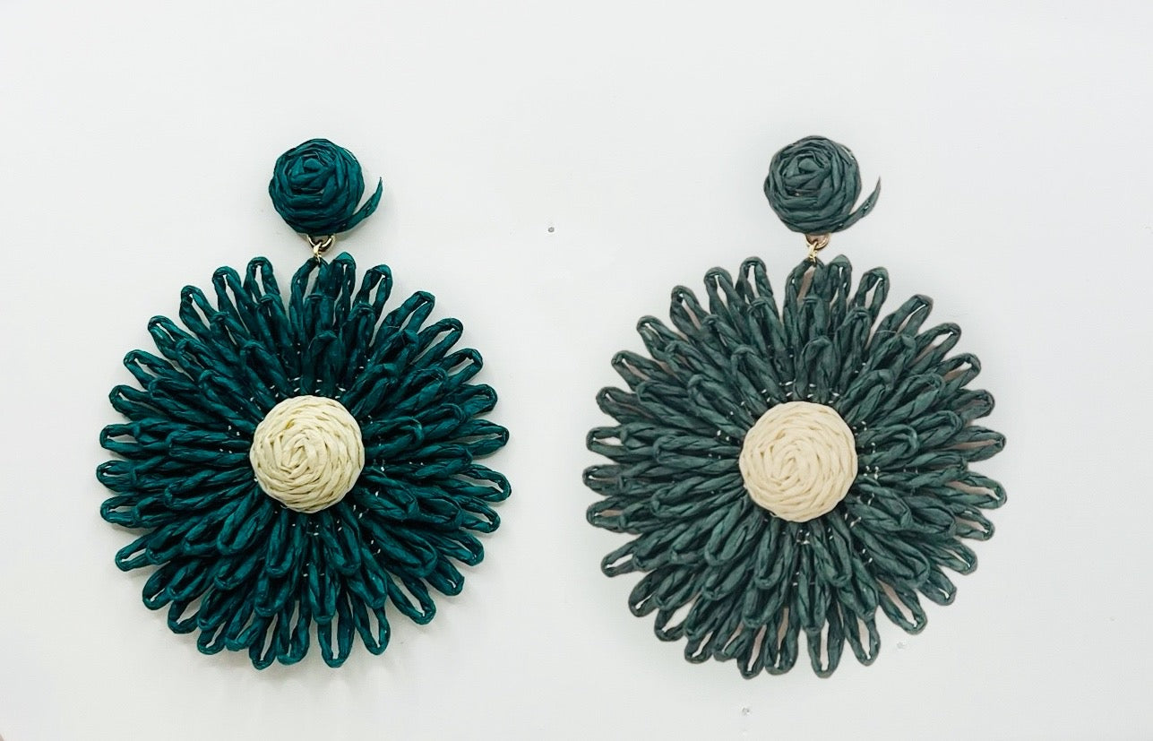 Enhance Earrings EH192