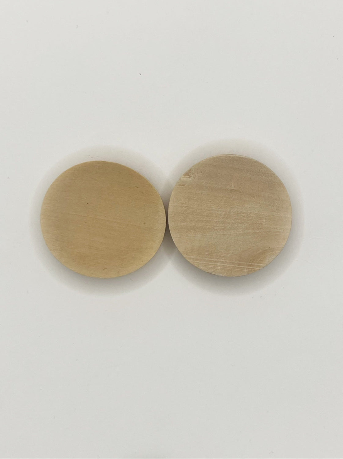 Blue Scarab Earrings BS233