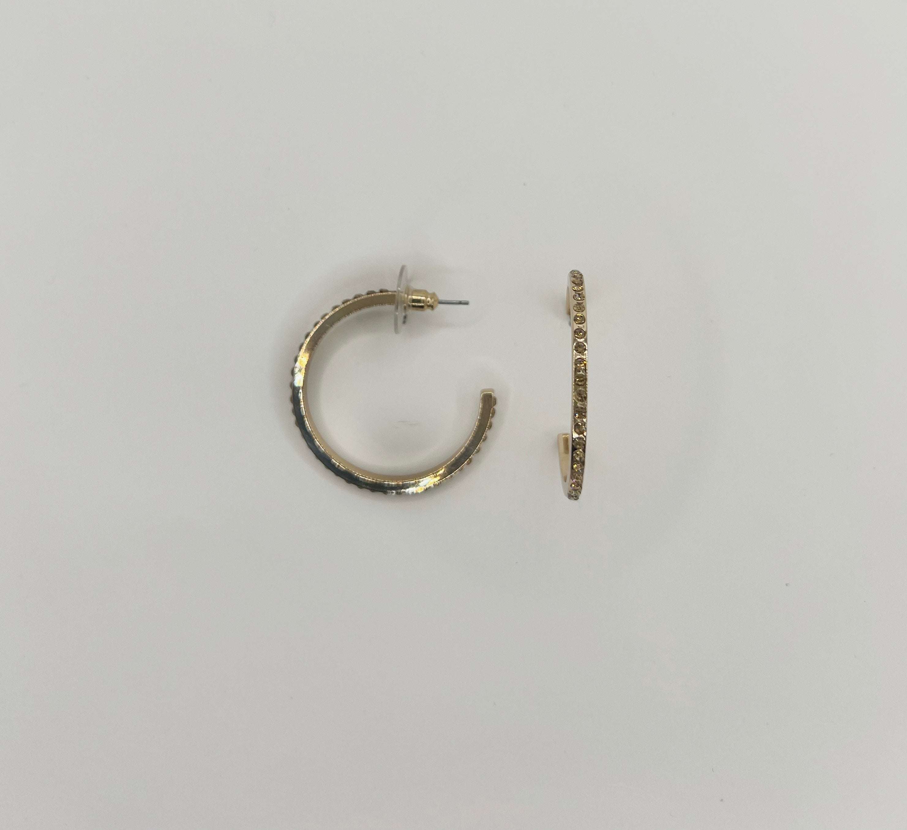Blue Scarab Earrings BS190
