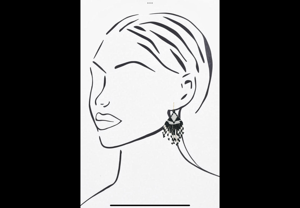 Beaded Earrings HB193