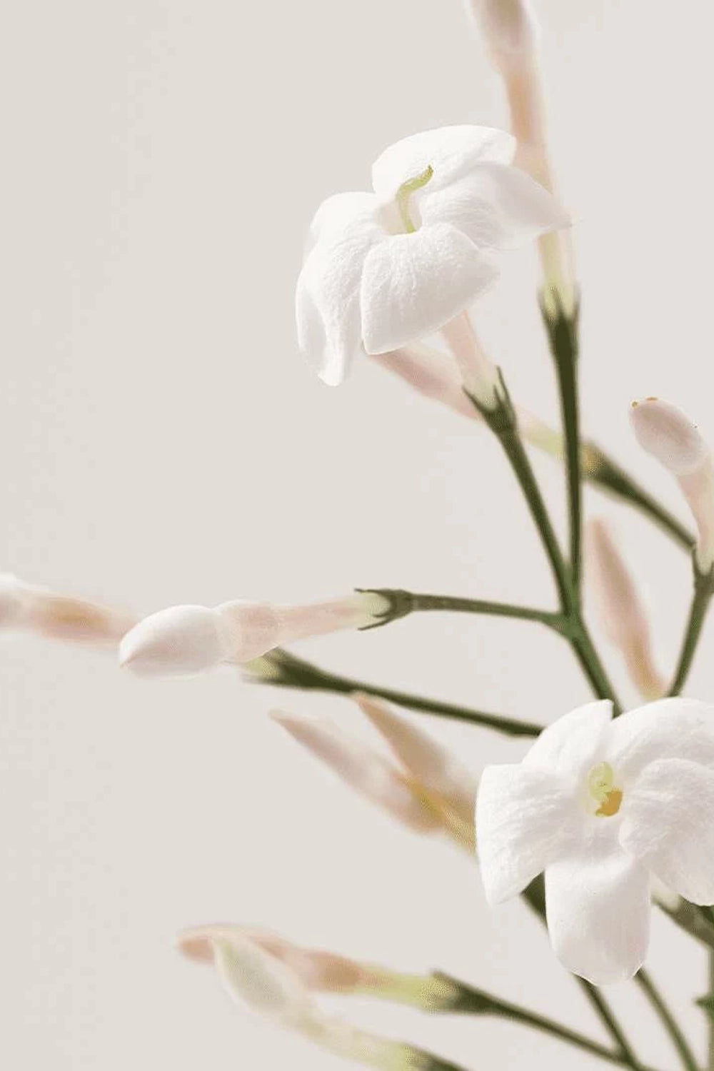 Rituel Douceur - Relaxing Shower Oil